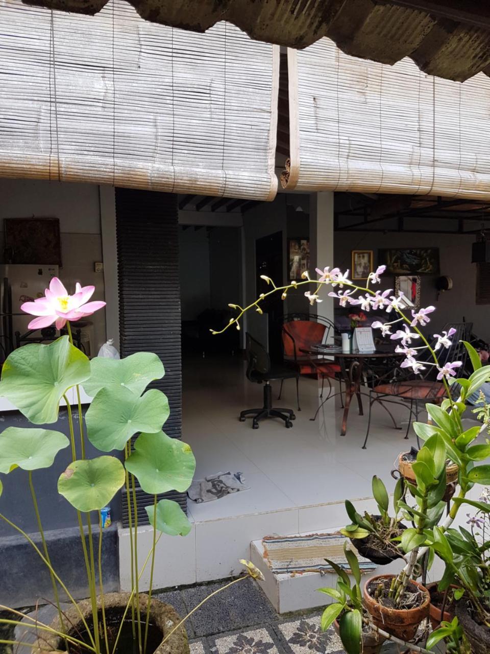 Mawar Homestay Canggu Ngoại thất bức ảnh