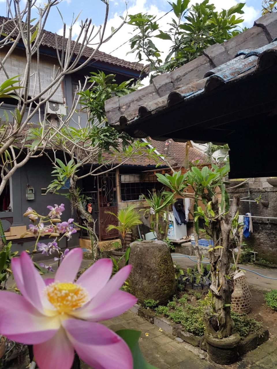 Mawar Homestay Canggu Ngoại thất bức ảnh